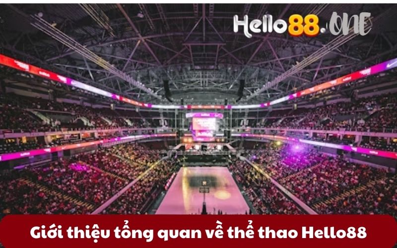 Gioi-thieu-tong-quan-ve-the-thao-Hello88