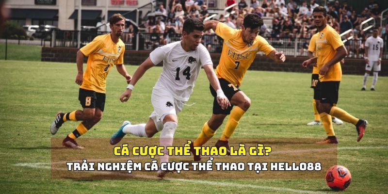 Cá cược thể thao là gì?