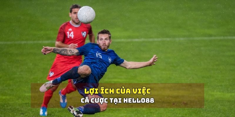 Cá cược thể thao là gì?